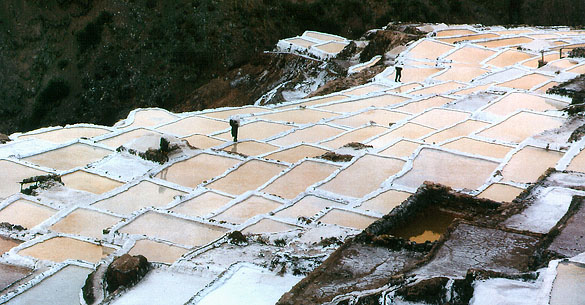 Salt Ponds